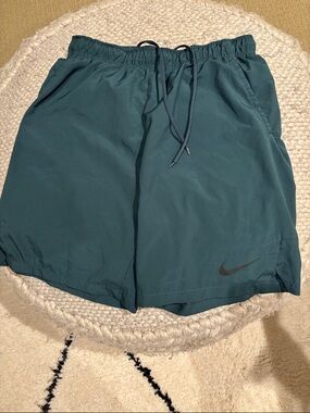 Nike Men's Deep Teal Athletic Shorts
